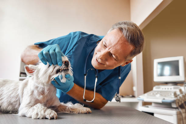 Best Root Canal Emergency Dentist  in Byng, OK